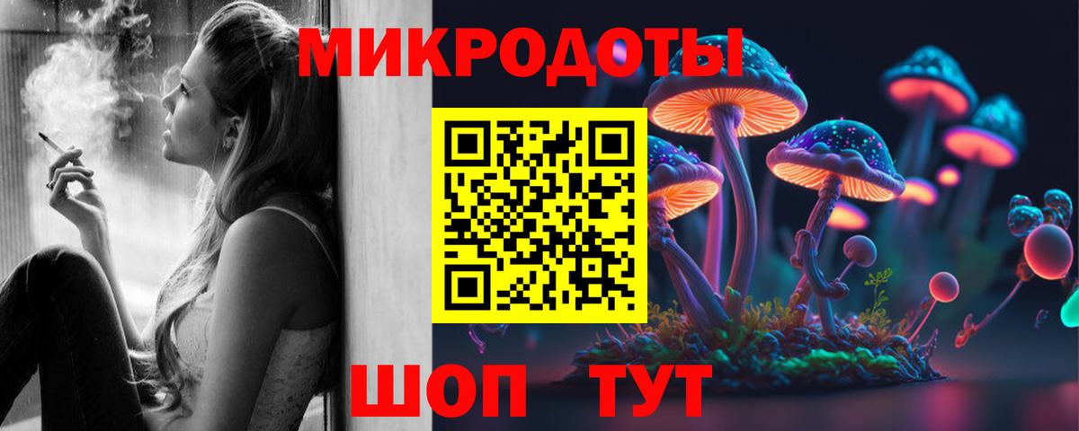 Псилоцибиновые грибы Psilocybine cubensis Воскресенск